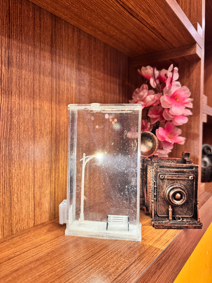 FLAKE LİGHT-SOKAK LAMBALI KAR KÜRESİ